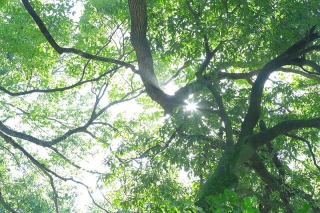 2023年GW特別講座のお誘い SAPIX生の親御様
